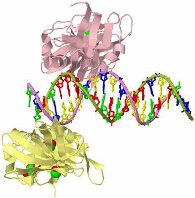 Image Biological Unit 2