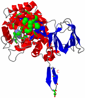 Image Asym./Biol. Unit - sites