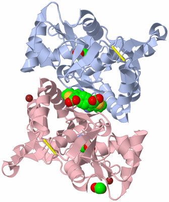 Image Biological Unit 1