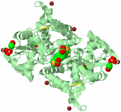 Image Biological Unit 2