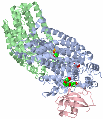 Image Biological Unit 2