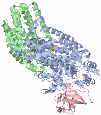 Image Biological Unit 2