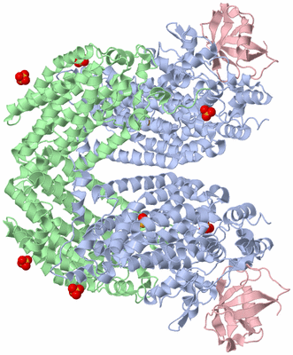 Image Biological Unit 1