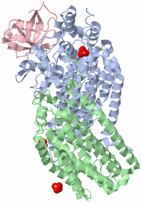 Image Biological Unit 2