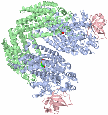 Image Biological Unit 1