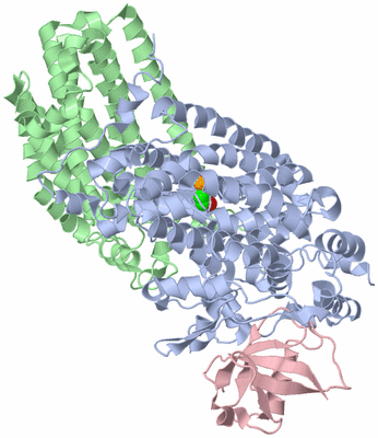 Image Biological Unit 2