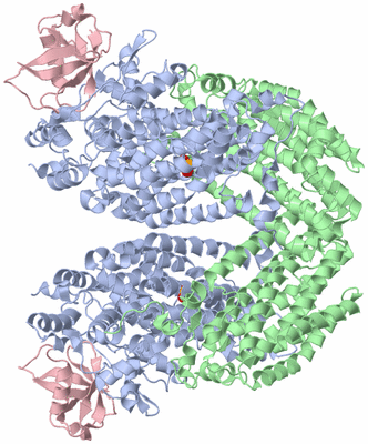 Image Biological Unit 1