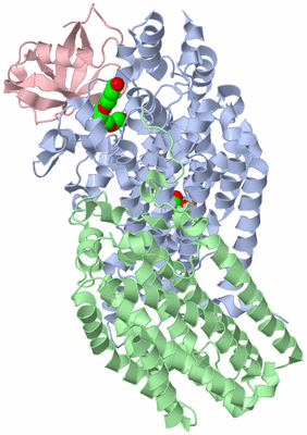 Image Biological Unit 2