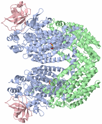 Image Biological Unit 1