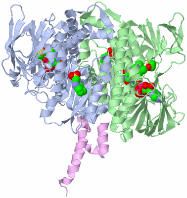 Image Biological Unit 1