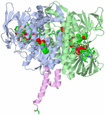 Image Biol. Unit 1 - sites