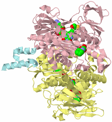 Image Biological Unit 2