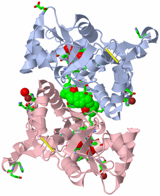 Image Biol. Unit 1 - sites