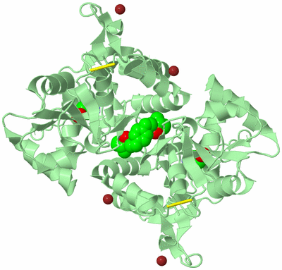 Image Biological Unit 2