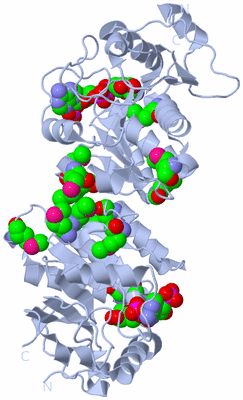 Image Biological Unit 2