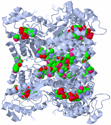 Image Biological Unit 3