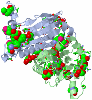 Image Asym./Biol. Unit - sites