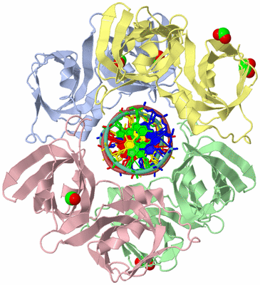 Image Asym./Biol. Unit