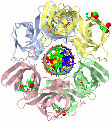 Image Asym./Biol. Unit - sites