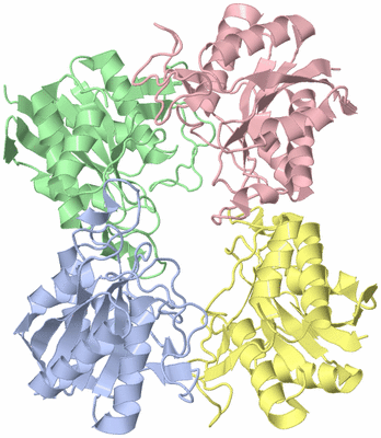 Image Asym./Biol. Unit