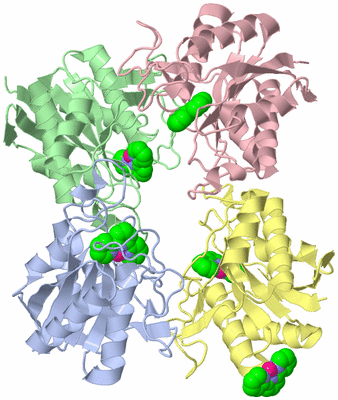 Image Asym./Biol. Unit