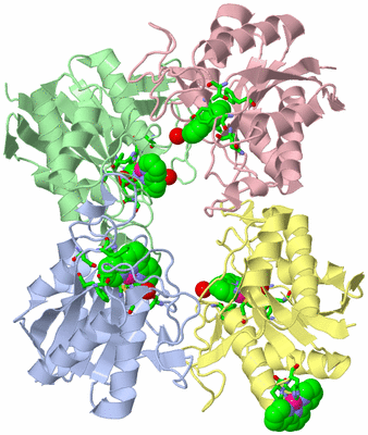 Image Asym./Biol. Unit - sites