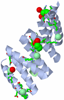 Image Asym./Biol. Unit - sites