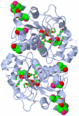 Image Biol. Unit 1 - sites