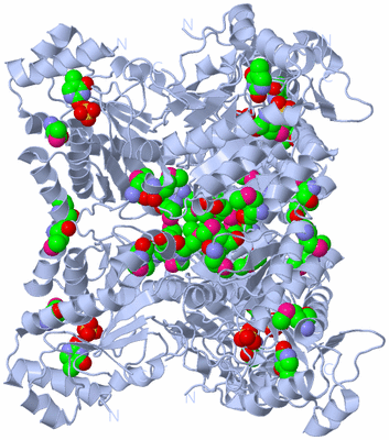 Image Biological Unit 3