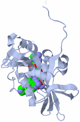 Image Biological Unit 1