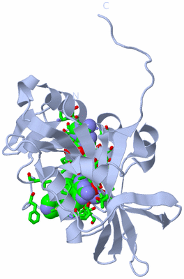 Image Biol. Unit 1 - sites