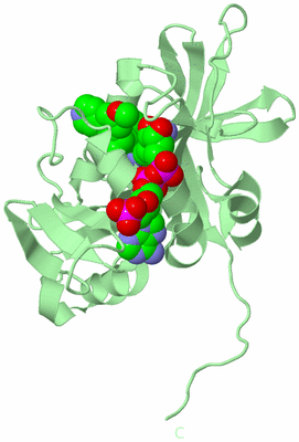 Image Biological Unit 2