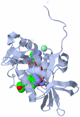 Image Biological Unit 1