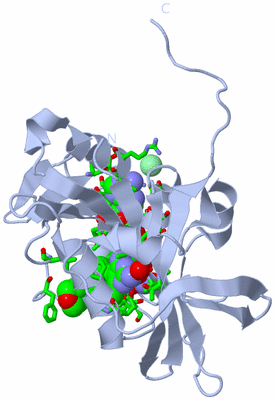 Image Biol. Unit 1 - sites