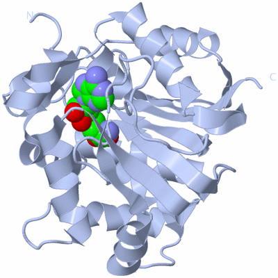 Image Biological Unit 1