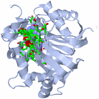 Image Biol. Unit 1 - sites