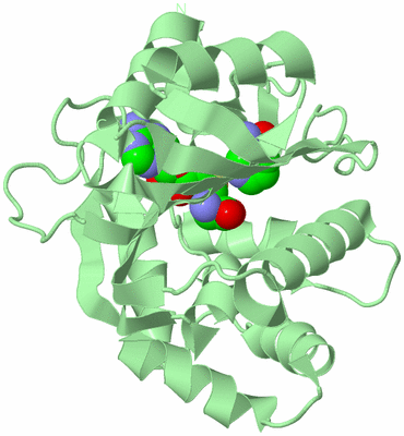 Image Biological Unit 2