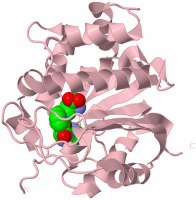 Image Biological Unit 3