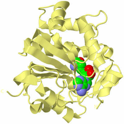 Image Biological Unit 4