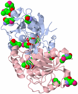 Image Biological Unit 1