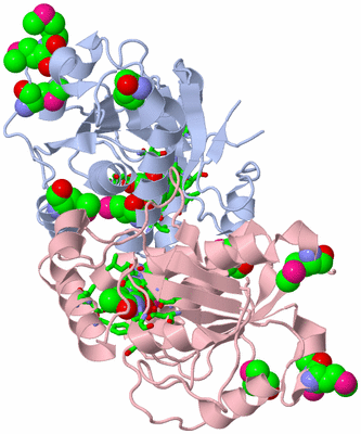 Image Biol. Unit 1 - sites