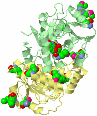 Image Biological Unit 2