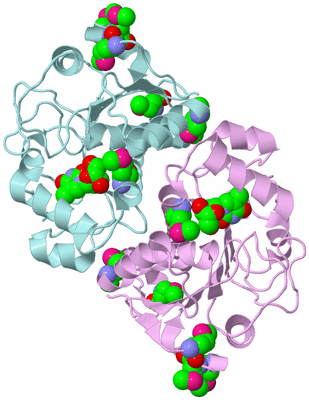 Image Biological Unit 3