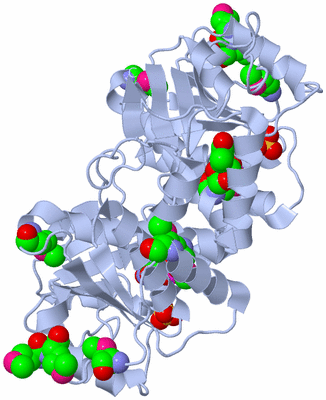 Image Biological Unit 1