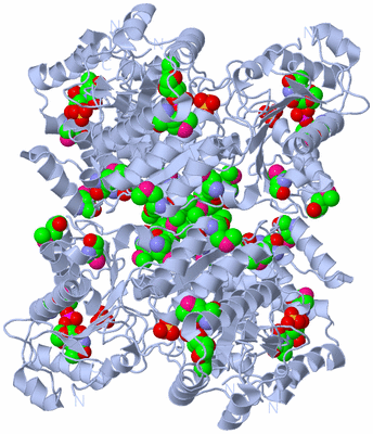 Image Biological Unit 3