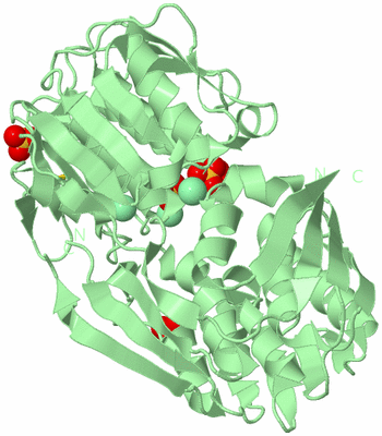 Image Biological Unit 2