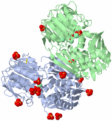 Image Biological Unit 3