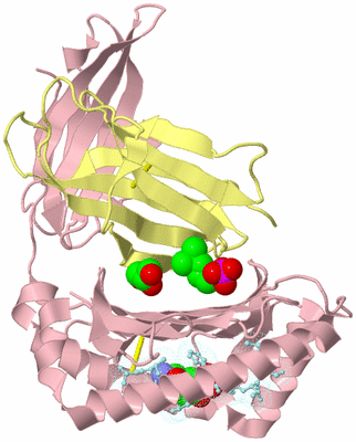 Image Biological Unit 2