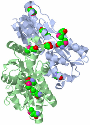 Image Biological Unit 1