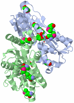 Image Biol. Unit 1 - sites